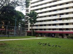 Blk 25 Toa Payoh East (Toa Payoh), HDB 3 Rooms #444846381